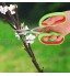 Gaeirt Cisailles à élaguer Ciseaux à Branches Pratiques dureté élevée Force de Cisaillement Forte pour Couper Les Branches d'arbres à Usage Domestique