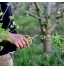 Gaeirt Cisailles à élaguer Ciseaux à Branches Pratiques dureté élevée Force de Cisaillement Forte pour Couper Les Branches d'arbres à Usage Domestique