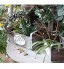Fournitures de jardinage boîtes à fleurs en bois pots de fleurs décoratifs de jardinage de jardin rangement d'articles divers rétro pastoral