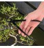 KEHUITONG 210mm ronde bord en acier jardin Sécateur épais Branches Cutter Ciseaux Outils Bonsai Ciseaux Élagage