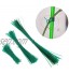 100 Pcs Jardin Coated Twist Fil Tie Ficelle Usine Support En Plastique Sangle-câbles M20 Liens végétaux Color : 30cm