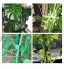 AHANDMAKER 2 Types de Liens de Vignes de Jardin Support de Plante de Ficelle de Vigne en Plastique de Plante de Jardin avec Coupeur et Boucle de Crochet de Cravate de Plante Réutilisable Velcro
