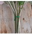 AOFOX 400 pièces Attaches réglables pour Plantes Attaches Flexibles pour Plantes de Jardin 20 cm et 15 cm Multifonction Robuste pour Plantes de Jardin Twist Tie Support pour Plantes