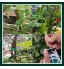 ARONTOME 50 m de corde torsadée en acier et plastique pour plantes de jardin Corde réutilisable pour greffage de légumes