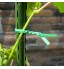 Ewepdwo Fil Jardin pour Plantes Grimpantes Fil D'Attaches TorsadéEs avec Coupe Attaches Plantes RéUtilisables pour Vignes Arbustes et Fleurs 100m