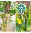 Ewepdwo Fil Jardin pour Plantes Grimpantes Fil D'Attaches TorsadéEs avec Coupe Attaches Plantes RéUtilisables pour Vignes Arbustes et Fleurs 100m