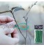 Joliy 100pcs Attaches pour Plantes en Plastique Réutilisables Réglables Attaches De Câbles De Jardin Flexibles pour Soutenir Les Plantes Fixant Les Tige De Vigne Fleurs Vert 13cm