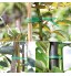 Kaxofang Fil Torsadé de Jardinage avec Fil Vert Torsadé de Jardinage Usage Domestique Bureau 20M Vert