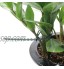 KINGLAKE 17,5 cm Pflanzenbinder Einstellbar 110 Stück Pflanzen Anbinder Kunststoff Schnellbinder für Pflanzen Unterstützung