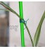 Ligne de reliure de jardinage attache de câble de jardin Wilecolly 20 30 50 m attaches torsadées avec coupe-câble de fil de fleur de plante de jardinage30 meters