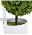 Marqueurs Etiquettes Plante de Pépinière Arbustes Semis Bouture Carte Tag Jardin Kit 100pcs 10*2cm Blanc