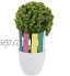 Marqueurs Etiquettes Plante de Pépinière Arbustes Semis Bouture Carte Tag Jardin Kit 100pcs 10*2cm Blanc