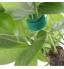 minzhenamz Serre-câbles pour plantes Perforé pour arrachage Résistant aux intempéries Pour plantes Vert