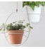 N\C Fil de fer pour plantes de jardin avec revêtement en plastique souple pour la maison le bureau la fixation de plantes le bricolage les bonsaïs et les pots de fleurs Sangle blanche