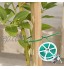 Nwvuop Lot de 2 bobines de fil multifonctionnelles pour plantes de jardin avec cutter pour jardinage à la maison et au bureau Vert