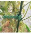 Qewrt 12 pcs Arbre Cravates Sangles en Plastique Flexible Réglable Durable Jardin Attaches De Cable pour Support Arbuste Vigne Branche d'arbre Plante
