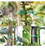 Seayune Lot de 2 cordes de fixation pour plantes avec découpe réutilisables revêtues de plastique pour plantes de jardin 100 m vert