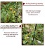 SJUN Fil d'attache de jardin extensible non torsadé pour plantes Fil épais réutilisable pour jardinage de plantes grimpantes vignes arbustes