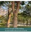 tenn well Sangle de fixation pour arbre 1,8 m résistance 998 kg sangle en nylon solide pour tuteur hauban supports de plantes greffage et lissage vert
