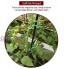 Wenxu Lot de 2 rouleaux de liens de jardin 3 4 4,8 5 7 mm d'épaisseur 5 styles doux attaches torsadées pour plantes de jardin Liens multifonctionnels pour fleurs et arbres Câble de 5 m