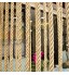 YQY Cordons tordus de Corde de Jute naturels de 30 mm 10m pour Les Applications de Jardinage Escalade hamac Chat de grattage remorqueur de Guerre