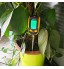 Kit de Test de pH du Sol des Plantes 4 en 1 Testeur d'acidité de l'humidité légère Capteur d'humidité du Sol hygromètre Moniteur d'eau pour Plantes Jardin Ferme pelouse intérieure extérieure