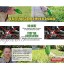 Mauvaises Herbes Outil,Mini Tondeuse à Gazon de Désherbage Portable,Désherbeur Extracteur Longue Eige pour Jardin
