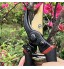 Aischens Sécateur de Jardin Sécateur à Enclume Ciseaux à Fleurs Coupe Bypass Bois Sec et Vert 215 mm Noir