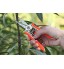 FLORA GUARD 16,5 cm Micro-Tip Sécateur Jardinage Main Sécateur Ciseaux de Coupe en Acier Inoxydable avec Orange