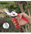 FLORA GUARD 21,6 cm Traditionnel Bypass Sécateur Professional Branche d'arbre et Jardin Sécateur