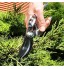 GRÜNTEK Sécateur de Jardin Professionnel SILVERCUT 230 mm Bypass cisailles d’élagage de jardinage lame 65mm. Qualité professionnelle.