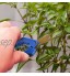 LANSONTECH Sécateur de jardinage sécateur manuel à lames incurvées Lames de précision revêtues de titane Paquet de 3 Bleu