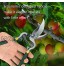 Sécateur Jardin Professionnel,Cisaille d'élagage Lame Acier Japonais SK-5 à Aiguille Poignées Ergonomiques Antidérapantes Tondeuses à Arbres Ciseaux de Jardin Main Pruner-bypass Sécateur Fruit A
