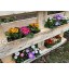Hossi's Wholesale Lot de 6 jardinières compatibles avec les palettes européennes 38 x 12 x 9 cm