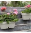 Pot de fleurs avec indicateur de niveau d'eau pour intérieur et extérieur Latina Window Box A 6,7 L 39,5 cm