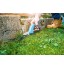 Cellfast 40-405 Cisaille à Gazon idéale pour Couper Les Bordures de pelouse avec Lame de 13 cm Bleu