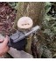 HKRSTSXJ Mini Chainsaw Set à main élaguer Tronçonneuses rechargeable petite scie électrique Travail du bois une main électrique Scie à chaîne Jardin Connexion 24V 36V bois de coupe Logging Élagage
