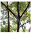 HYLDM Ensemble de scie à Poteau télescopique avec Lame de Coupe Extension de Branche d'arbre coupée Outils de Jardin scies à Poteau à Main avec Tubes Conception de poulie Rouge-5,4