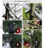 HYLDM Perche télescopique d'élagage d'arbre scie à Perche télescopique pour l'élagage et l'élagage des Branches et des Feuilles scie à Branche d'arbre fruitier à Haute Altitude 7.2 M 2