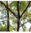 HYLDM Scie à Perche télescopique de 24 pi sécateur d'arbre télescopique scie à Perche Longue Extension pour l'élagage et la Coupe des Branches et des Feuilles Perche Extensible en All