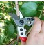 Jopwkuin Coude d'outils de Jardin de Ciseaux de Coupe conçu pour l'élagage des Arbres fruitiers