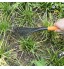 Meccion Mini râteau de jardin 40,6 cm 9 racines en acier avec poignée ergonomique confortable et résistant à la rouille – Outil de jardinage professionnel