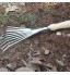 Râteau à gazon à 9 dents avec manche en bois acier inoxydable 9 dents solides idéal pour le jardinage la culture l'ameublir du sol et l'épandage de paillis