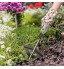 Binette creuse en acier inoxydable Outil de jardinage Râteau de désherbage Plantation de légumes Maison Jardin Ferme