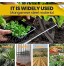 Moanyt Binette creuse entièrement en acier trempé – Outil de jardinage pour ameublir le sol pelle de jardin pour désherber creuser hacher planter légumes à main