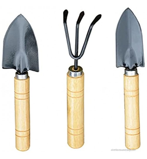 FENXIXI Lot de 3 mini outils de jardinage à main avec manche en bois et métal