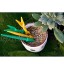 MagiDeal Kit d'Outils de Jardinage Transplantoir Perforatrice pour Jeune Plant Vert