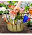 Achort Outils de Jardinage 10 Pièces Transplantation de Jardinage en Plein Air pour Jardinier avec Sac de Rangement Arrosoir Gants de Jardinage