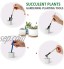 G Good GAIN Kit de plantes grasses avec sac de rangement pour intérieur mini outils de jardinage à main 14 pièces pour jardinage miniature pour bonsaï