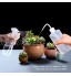Gxhong Kits D'outils de Jardinage Intérieur 16 Petits Transplantation Succulente Outils Mini Outils Bonsaï avec Sécateur Ciseaux Mini Arrosoir Rteau Pelle pour Jardin Pelouse